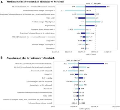 Immune Checkpoint Inhibitors Plus an Anti-VEGF Antibody as the First-Line Treatment for Unresectable Hepatocellular Carcinoma: A Network Meta-Analysis and Cost-Effectiveness Analysis